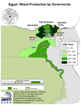 images\EG\cropprod\Egypt_Wheat_preview.jpg